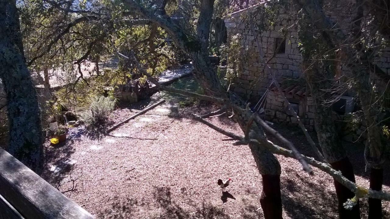 La Vigna Bed & Breakfast 2*
