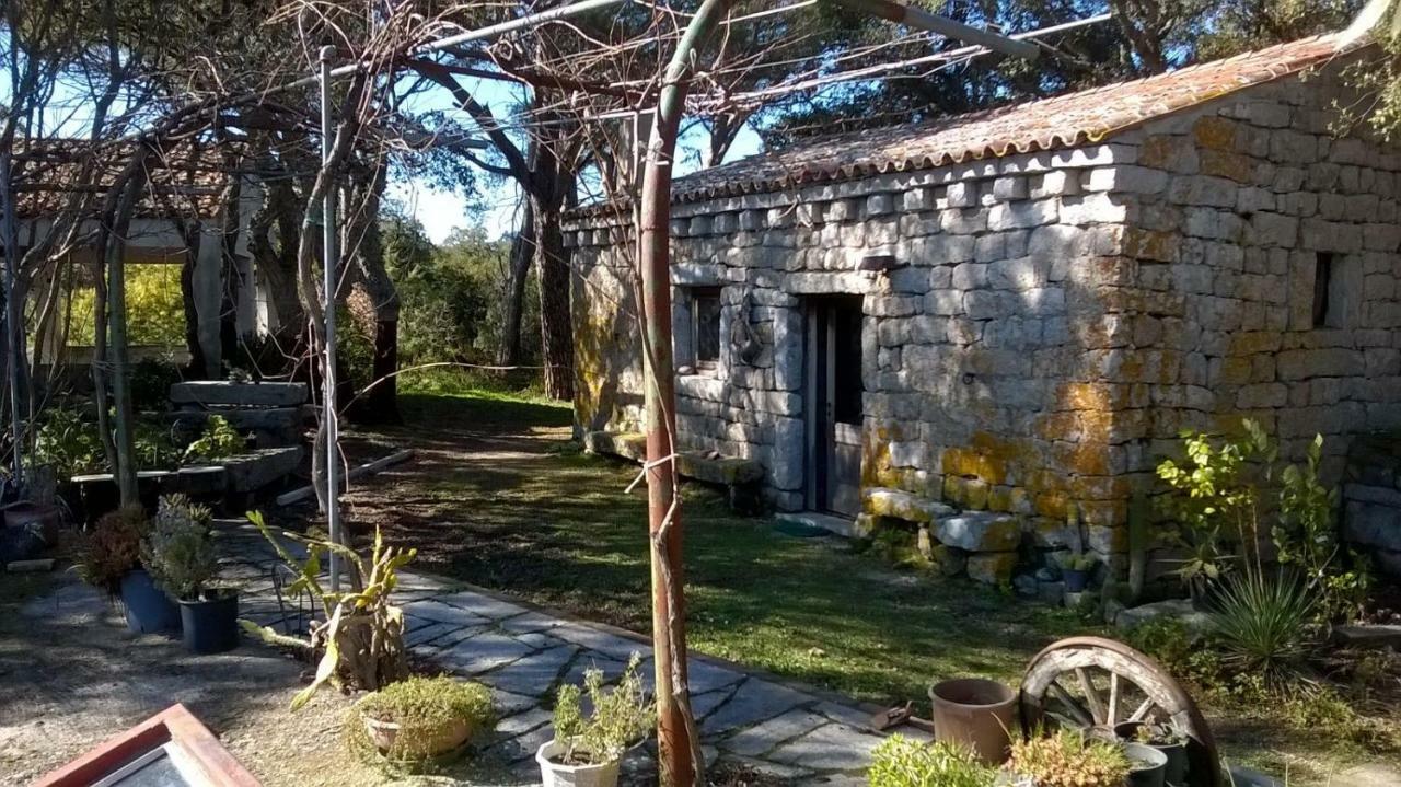 La Vigna Tempio Pausania