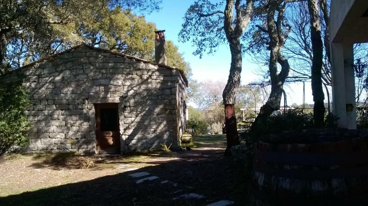 Frühstückspension La Vigna Tempio Pausania