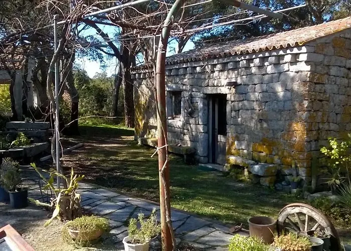 Agriturismo La Vigna
