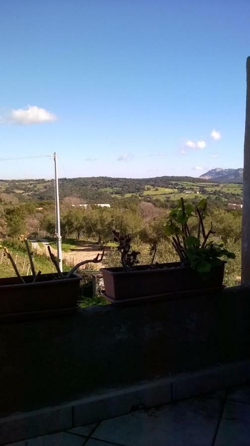 La Vigna 2*