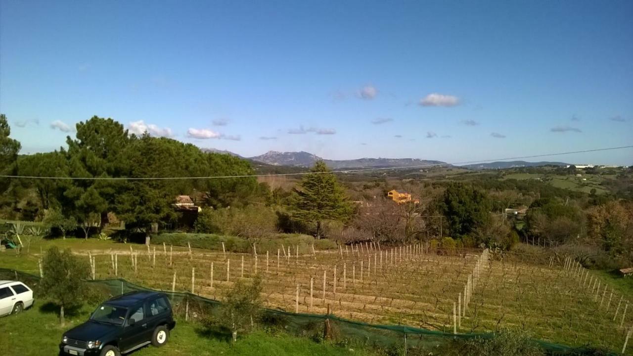 Bed & Breakfast La Vigna 2*