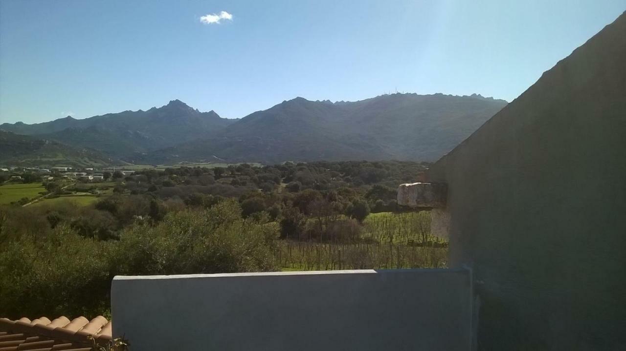 Bed & Breakfast La Vigna