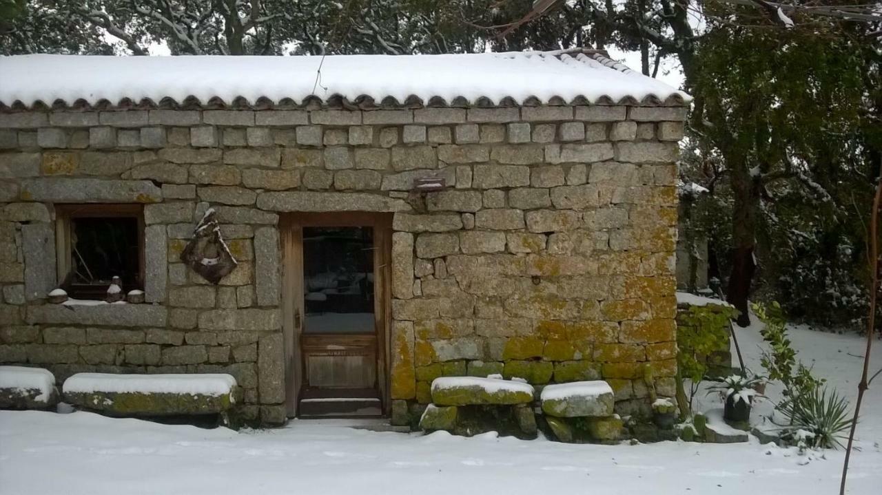 Bed & Breakfast La Vigna 2*