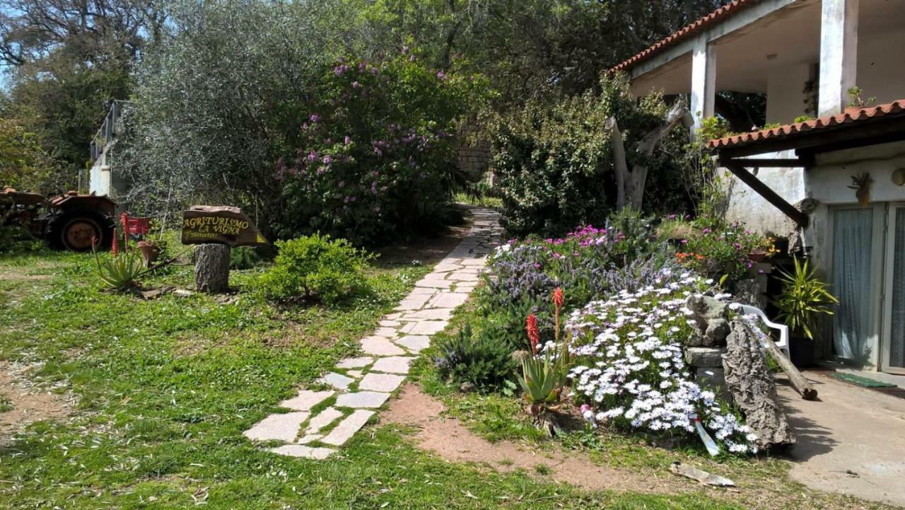 La Vigna 2*