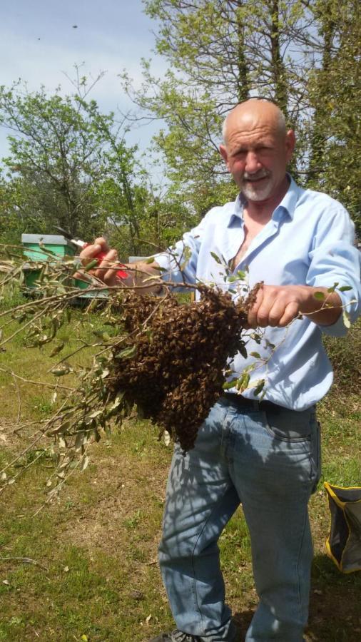 La Vigna 2*